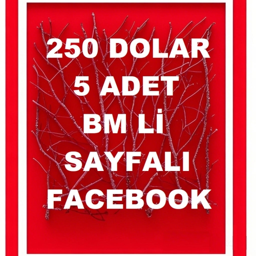  250 DOLAR GÜNLÜK LİMİTLİ 5 ADET BM Lİ FACEBOOK